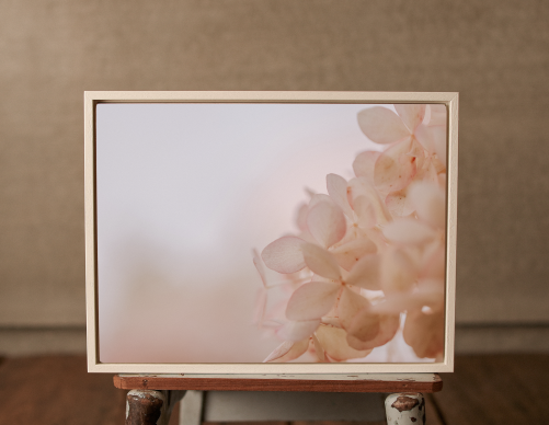 "Porcelain Blush" ART