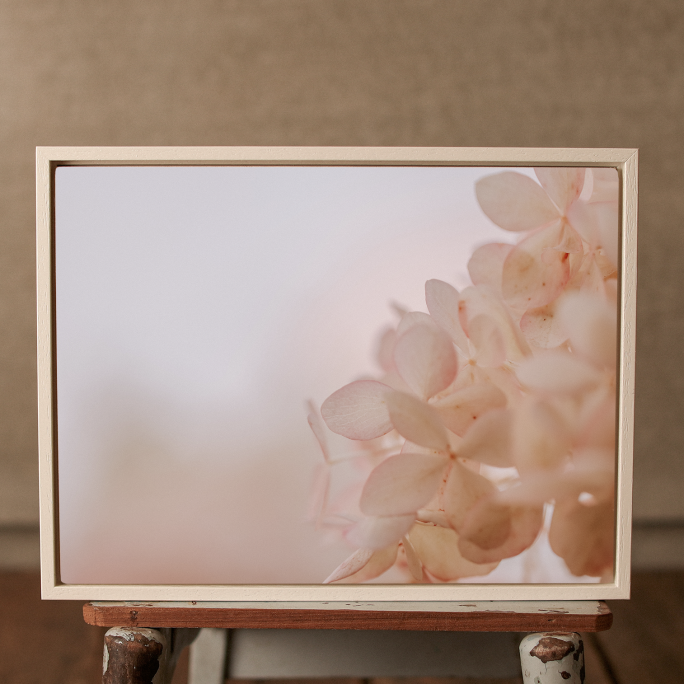 "Porcelain Blush" ART