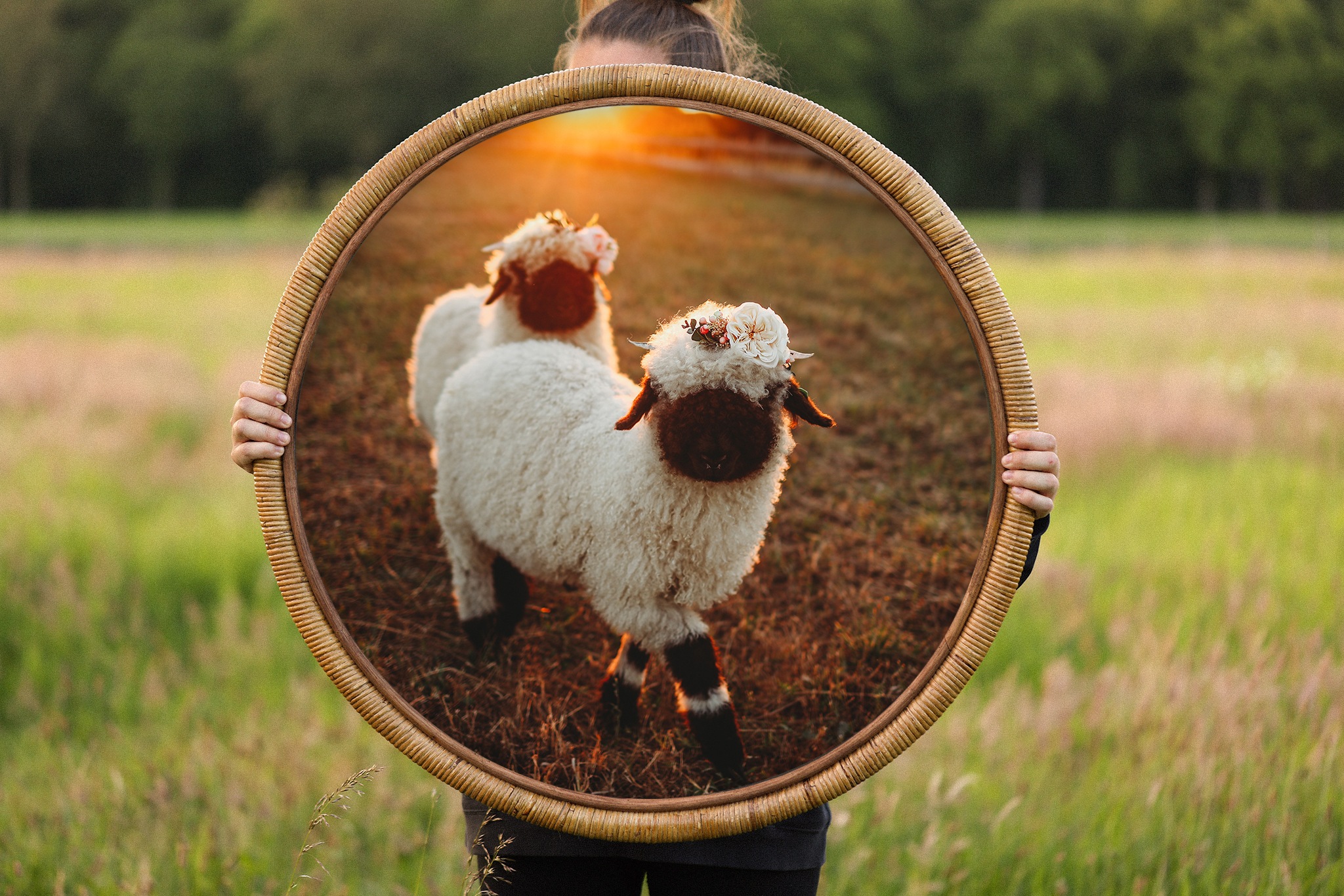 "TWO SHEEP" print in Bamboo frame