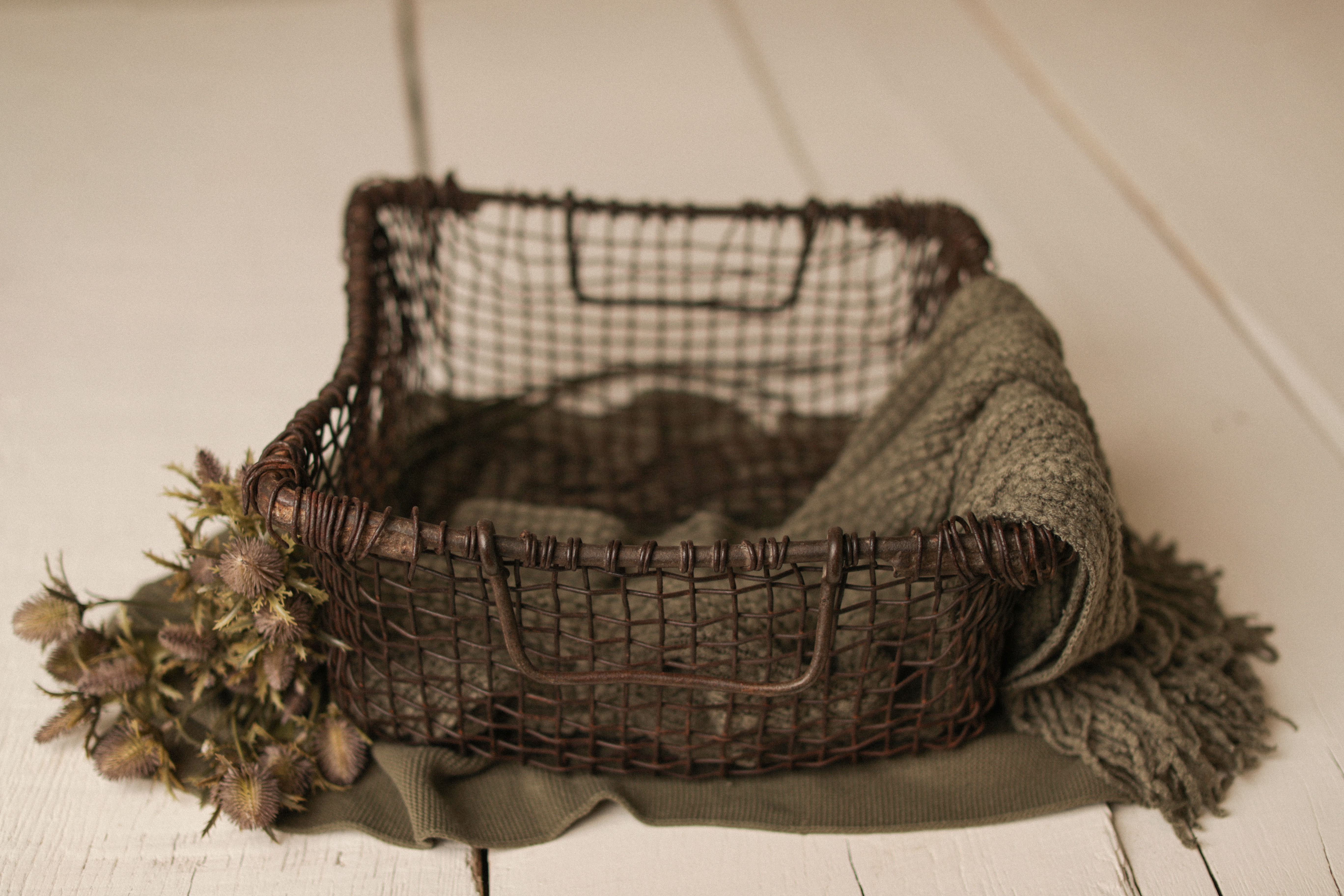 The Forager’s Crate