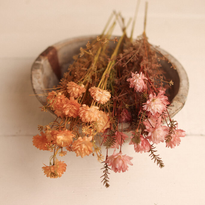 Summer Bloom Stems