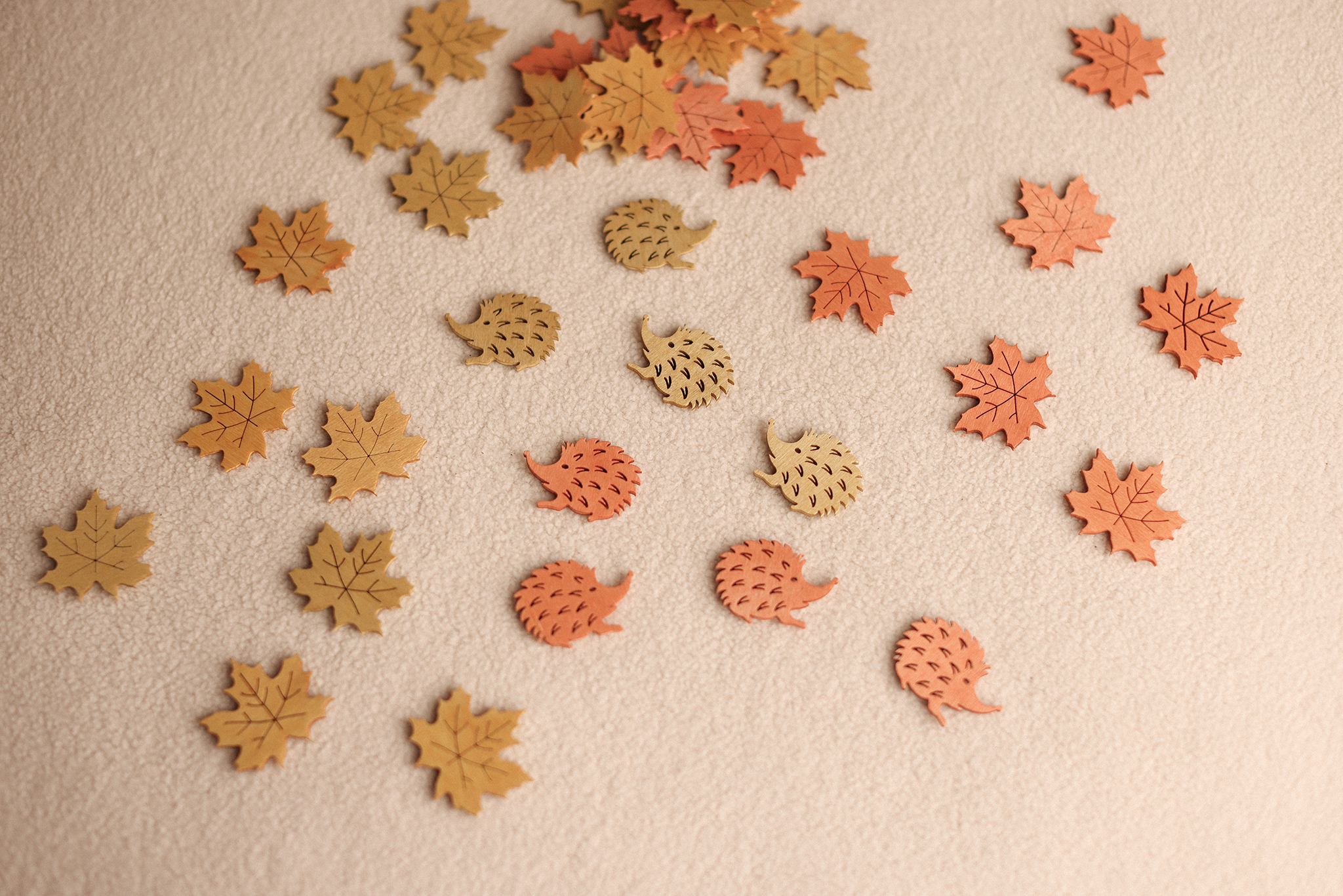 Wooden Hedgehog set of 5