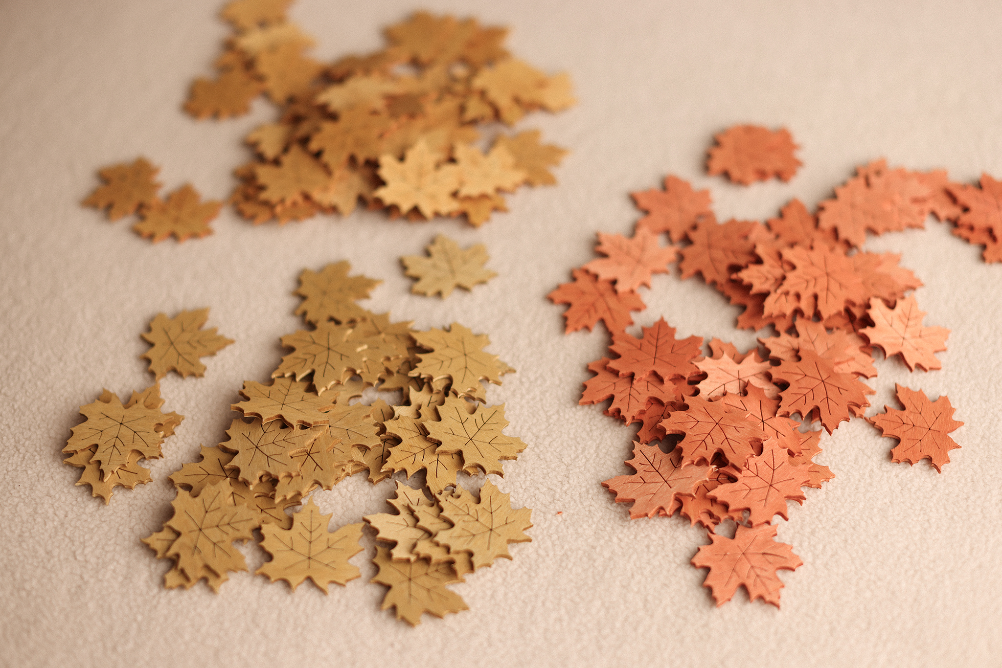 Wooden Autumn Leaves set of 6