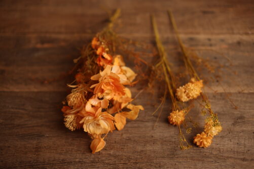 Summer Bloom Stems