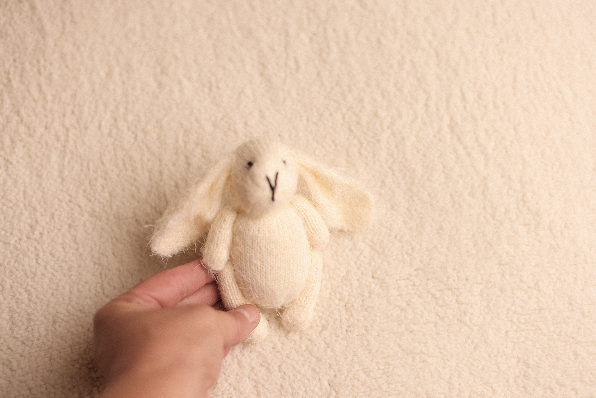 little cream BUNNY
