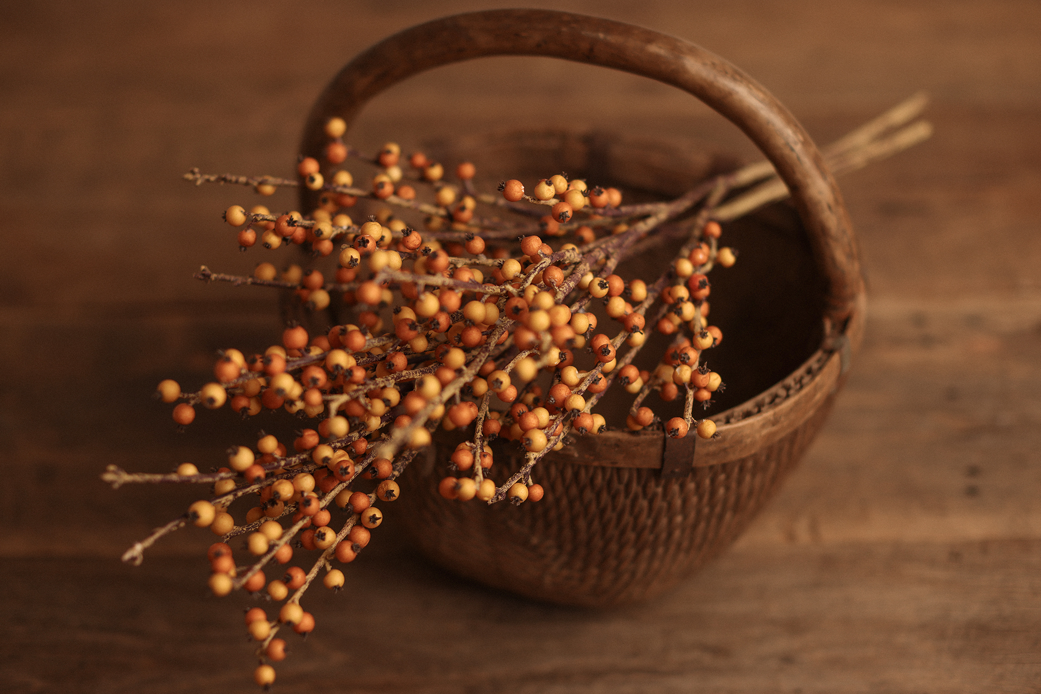 Autumn Berry Stem