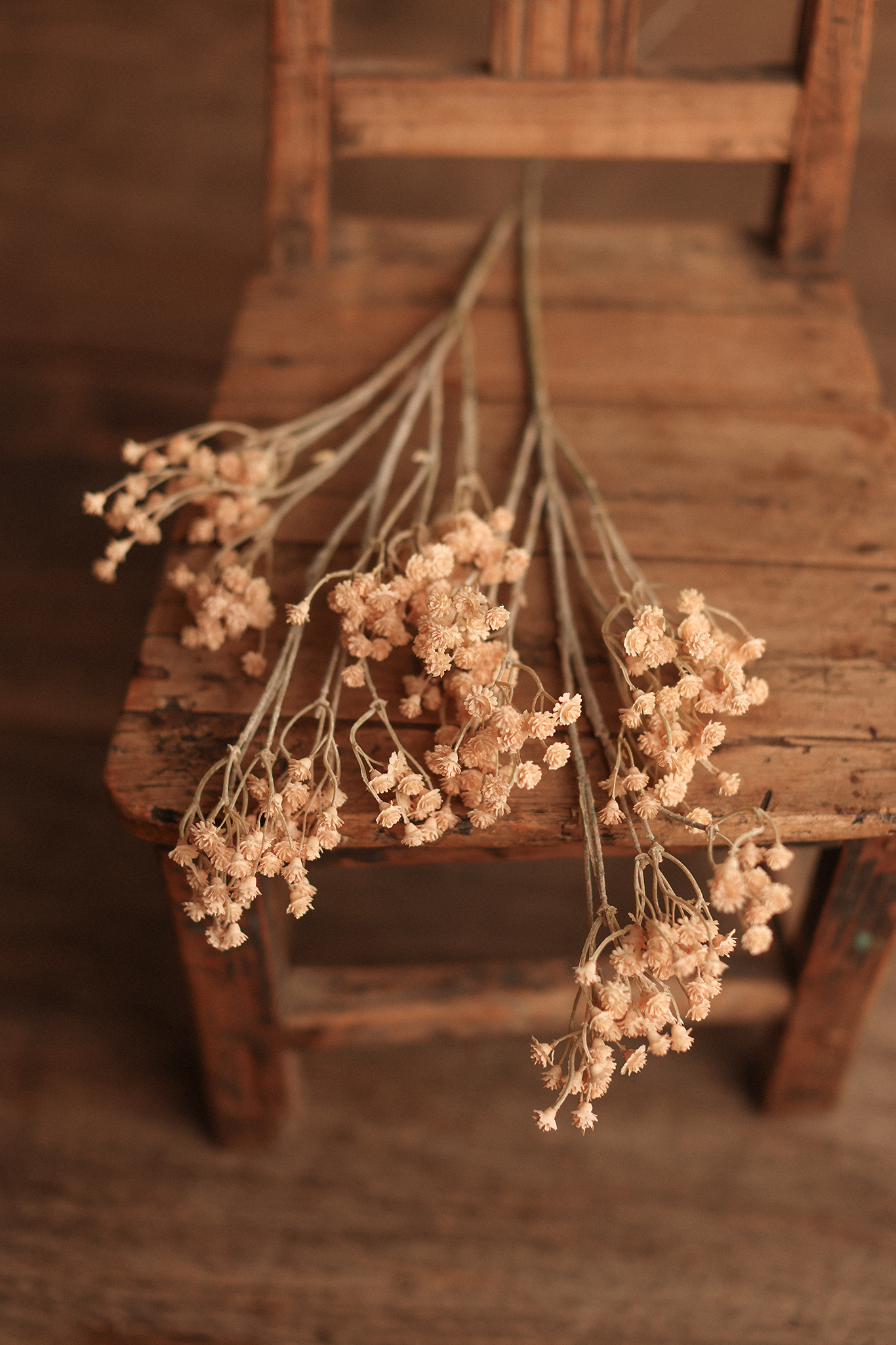 Beige Babies breath flowers