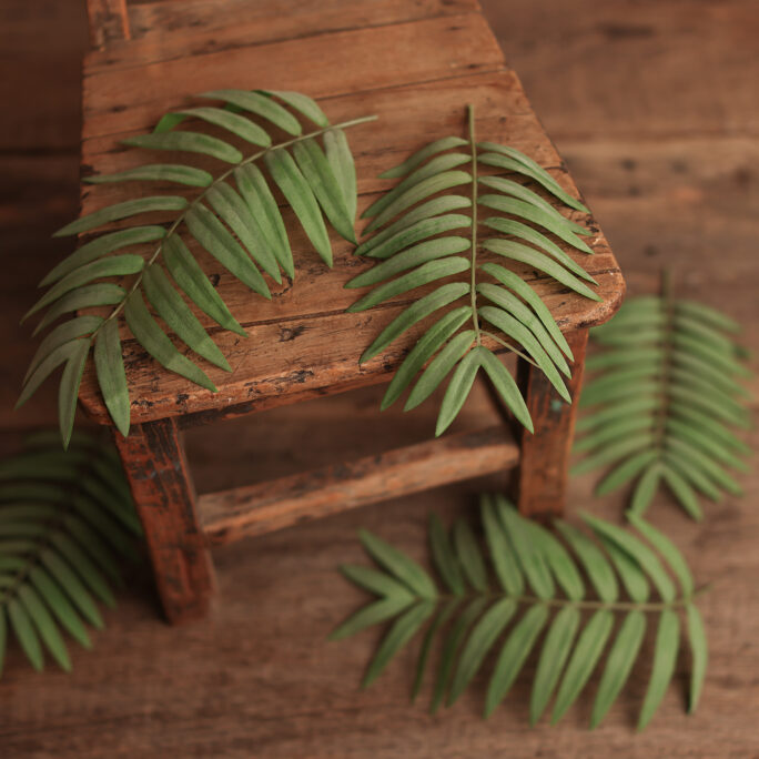 5 GREEN LEAVES