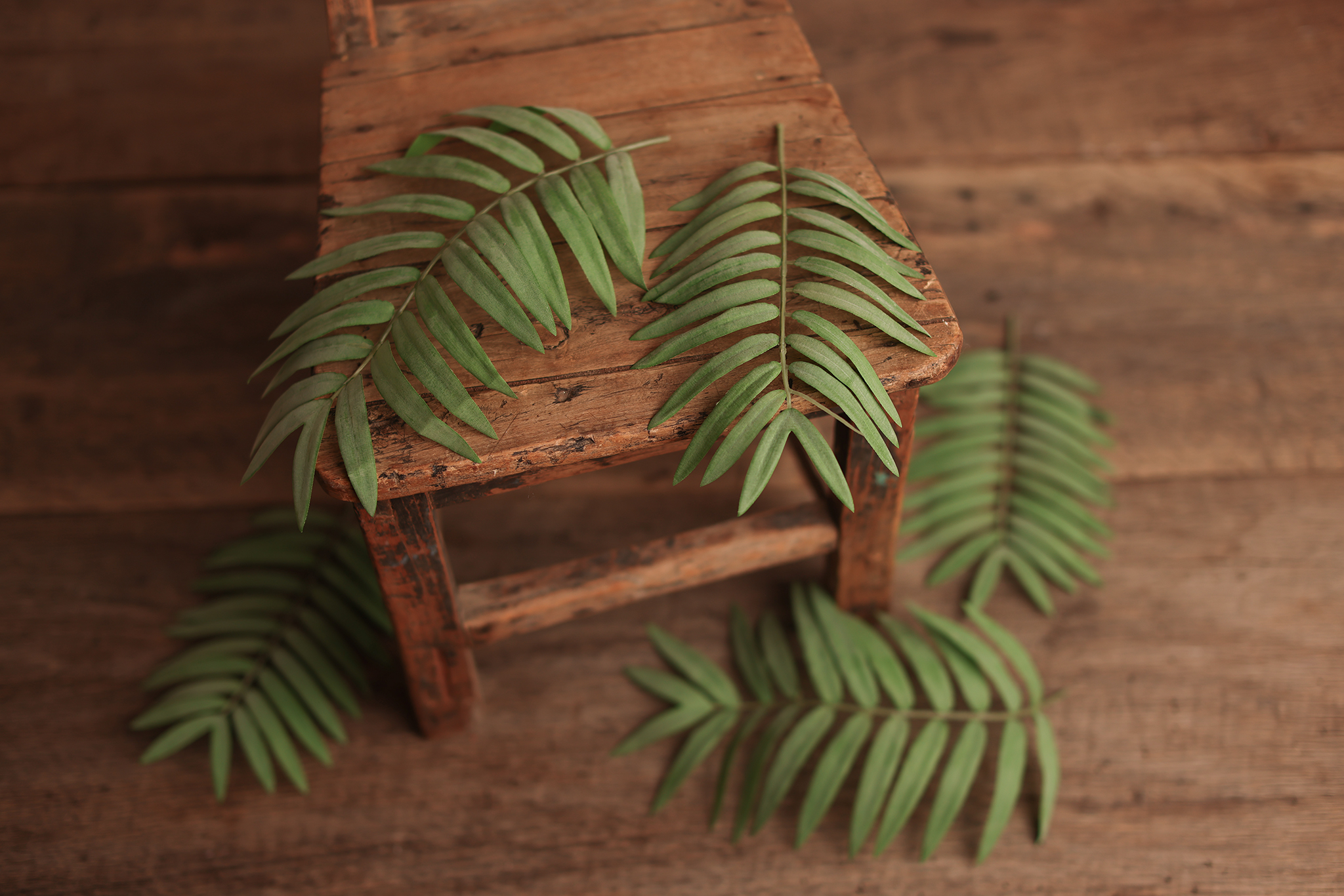 5 GREEN LEAVES