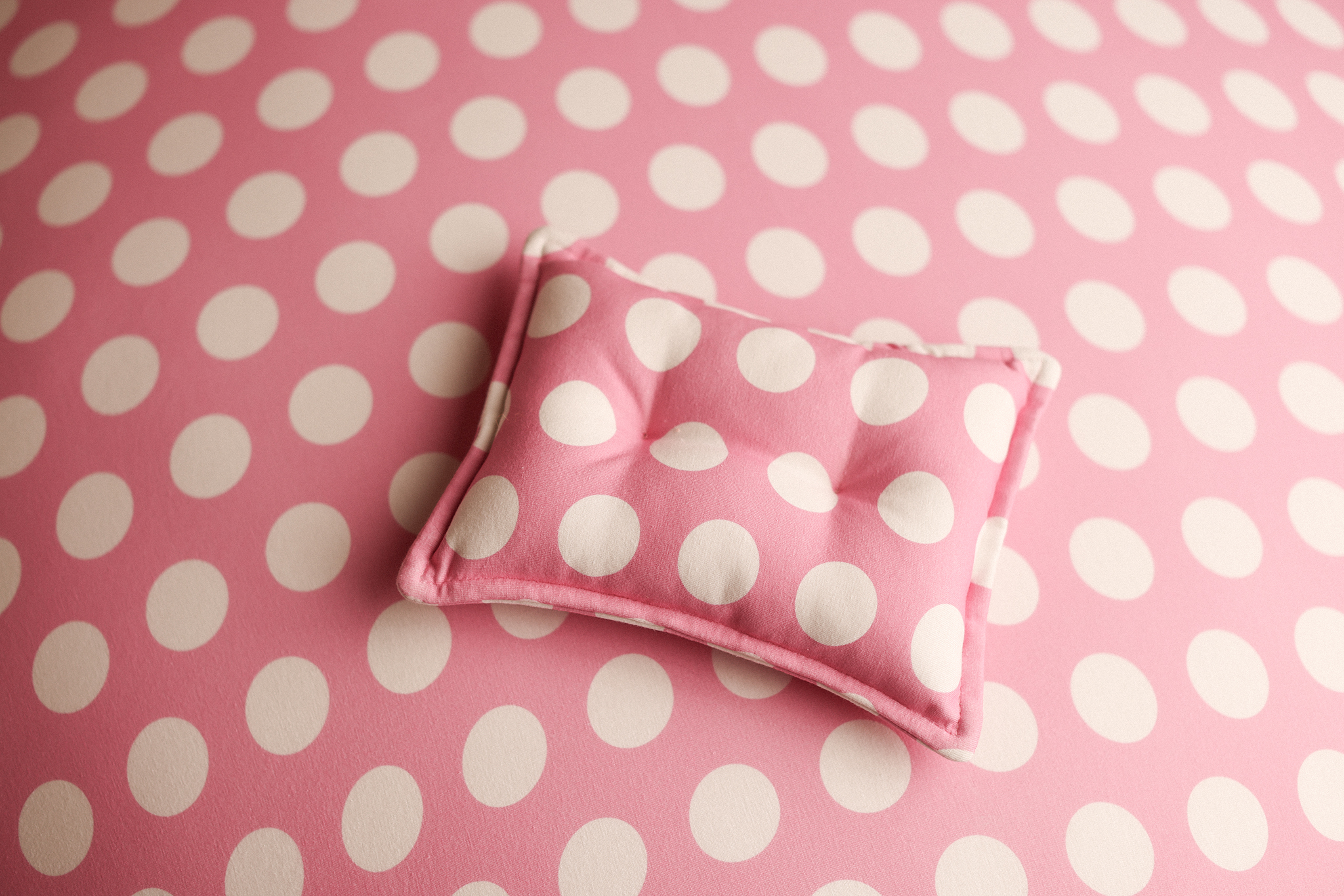 PINK & DOTS Backdrop + Pillow set