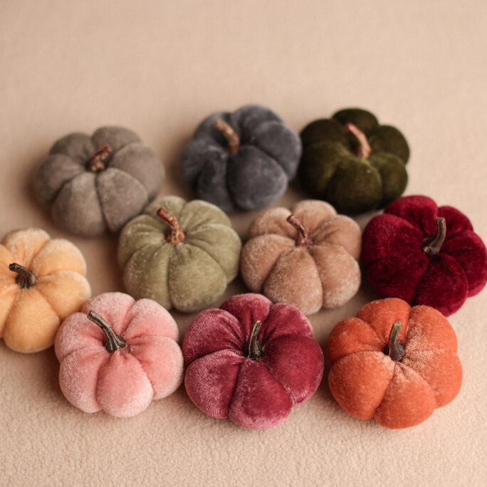 Velvet Pumpkin