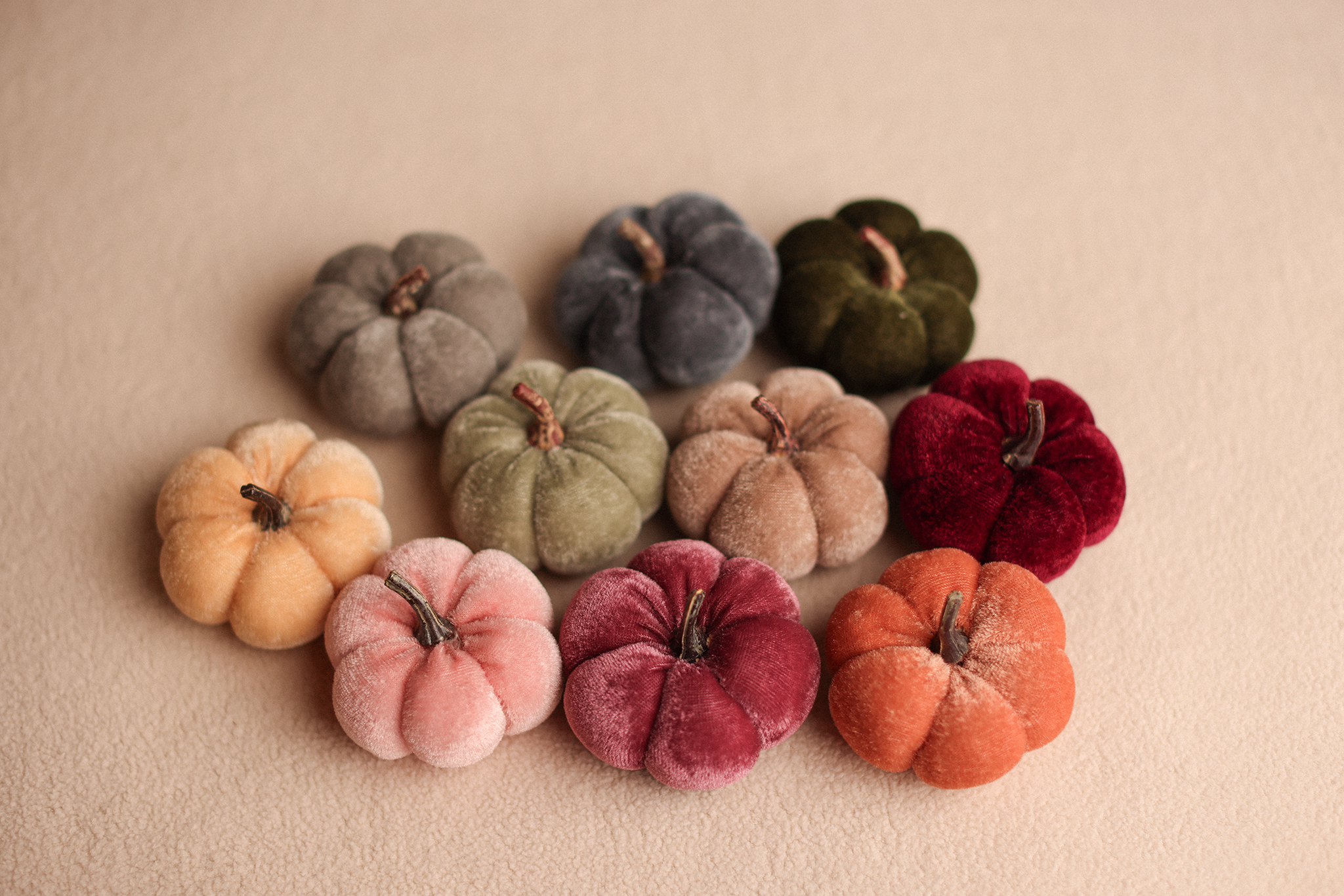Velvet Pumpkin