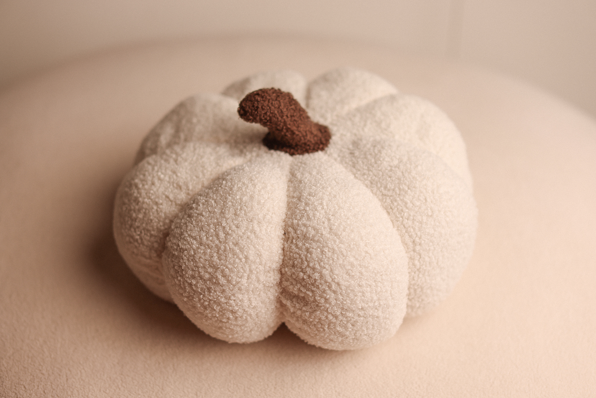 White Teddy Pumpkin L