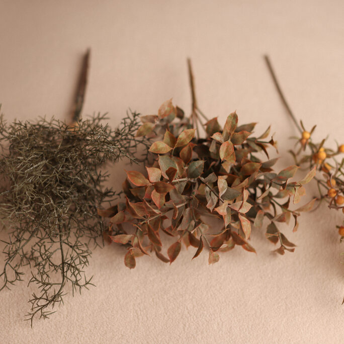 Branches