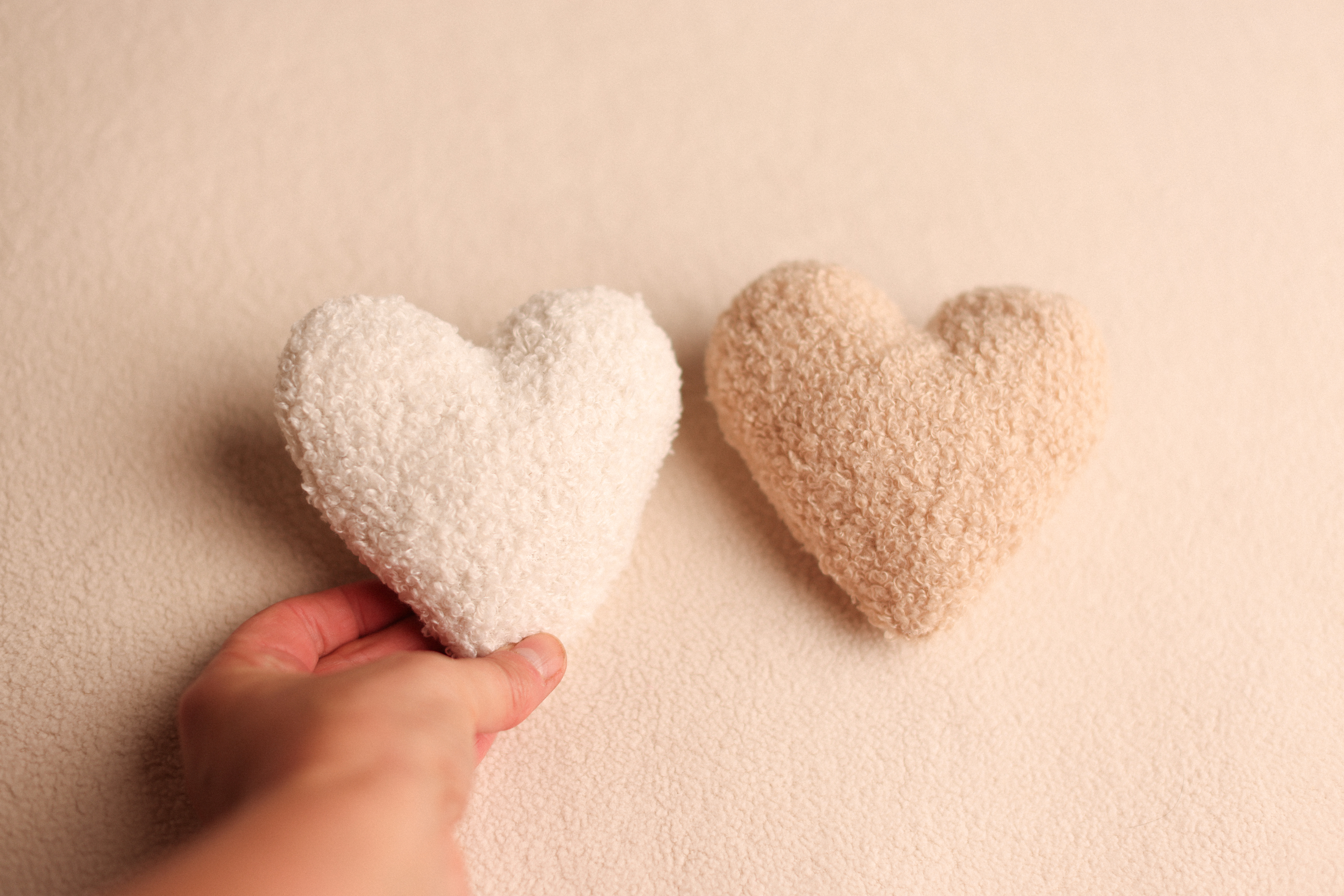 Teddy Heart