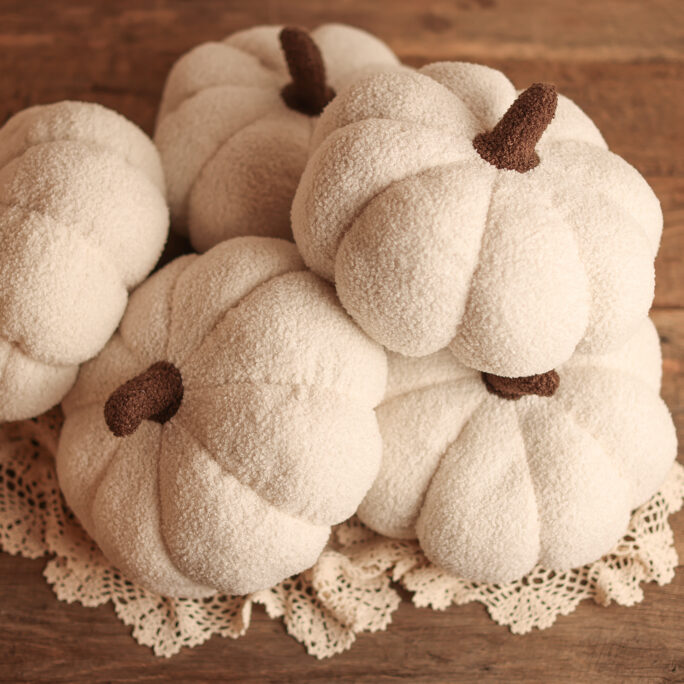 White Teddy Pumpkin L