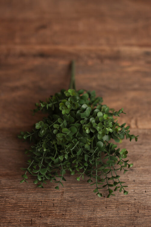 Green Eucalyptus Branch - Image 2