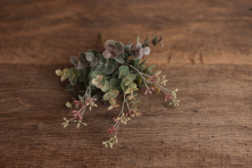 Green Eucalyptus with touch of pink