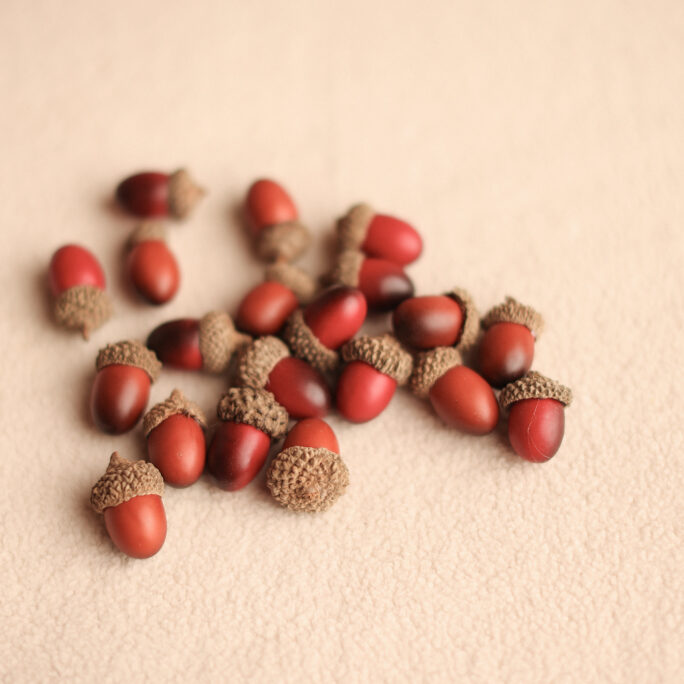 20 acorns