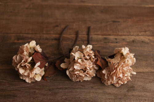 BEIGE Hydrangea with rusty leaves