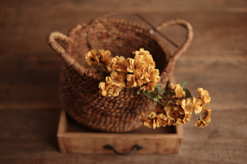 Large Gold Yellow Blossom