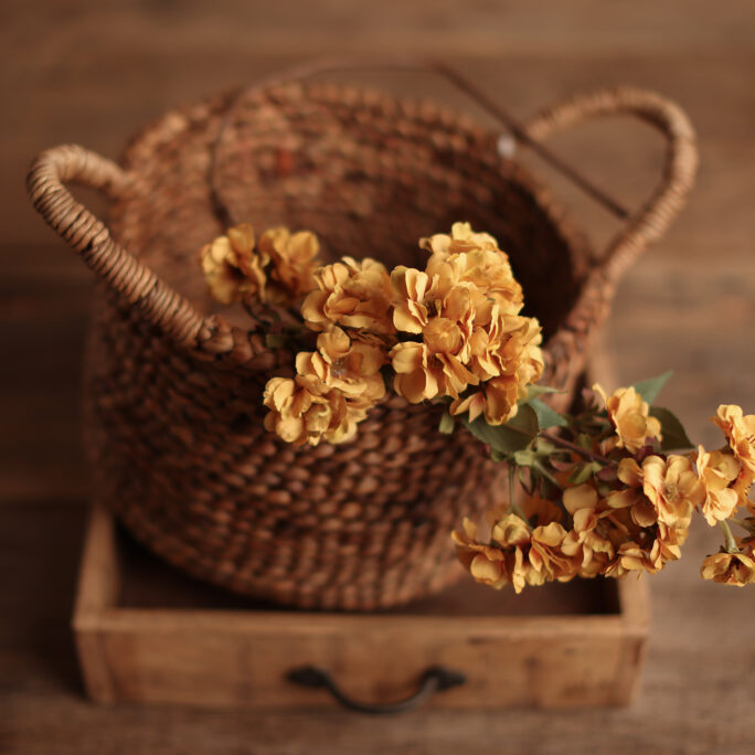Large Gold Yellow Blossom