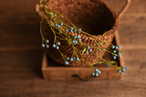 Large Blue Berries branch