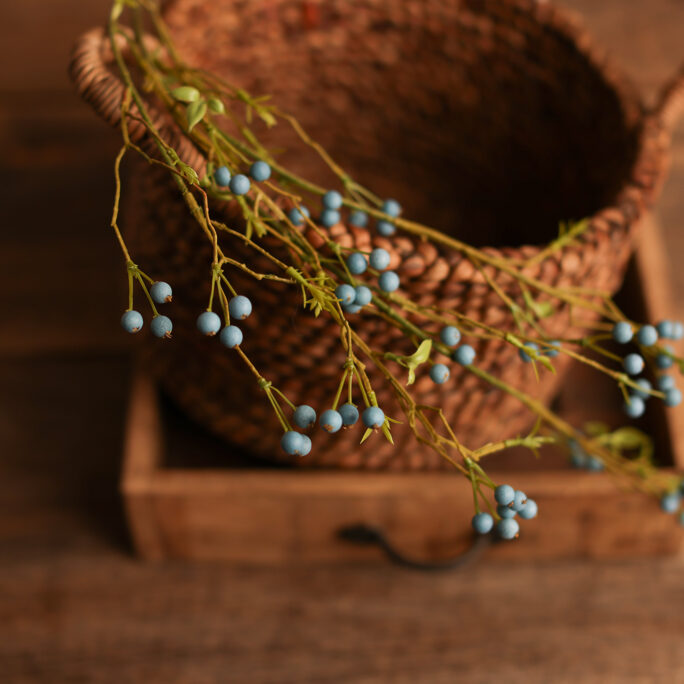 Large Blue Berries branch