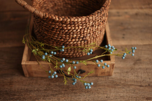 Large Blue Berries branch - Image 2