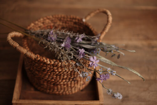 Dusty Purple set of flowers