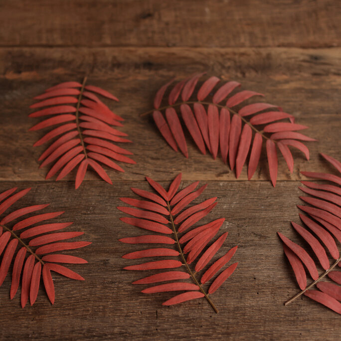 5 AUTUMN LEAVES