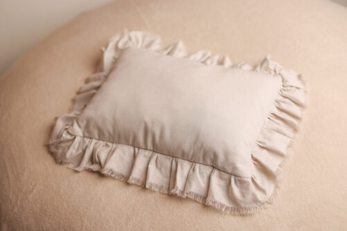 lifestyle pillow