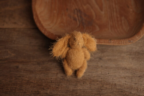Golden Brown BUNNY