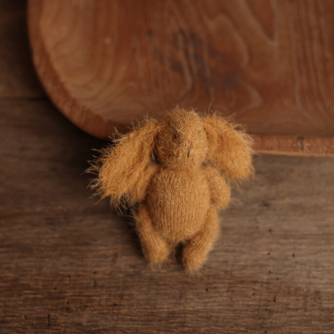 Golden Brown BUNNY