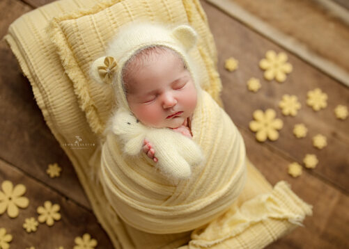 Snuggle TEDDY PROP - Image 4