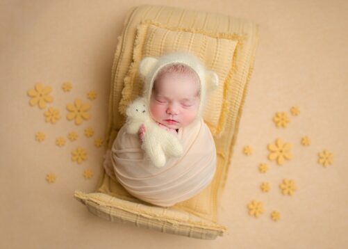 Snuggle TEDDY PROP - Image 3