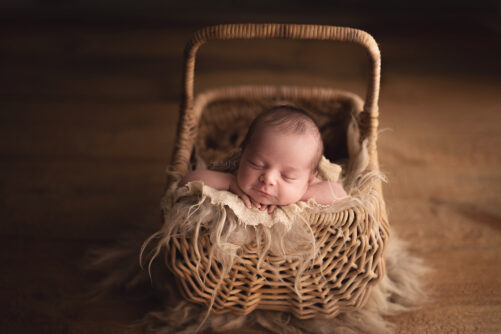 Willow WHISPERS Basket SET - Image 2