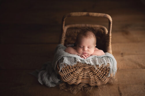 Willow WHISPERS Basket SET - Image 3