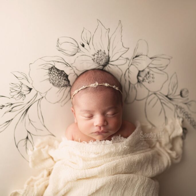 Botanical Dream backdrop