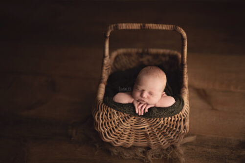Willow WHISPERS Basket SET - Image 4