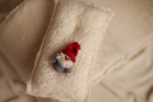 LITTLE Santa