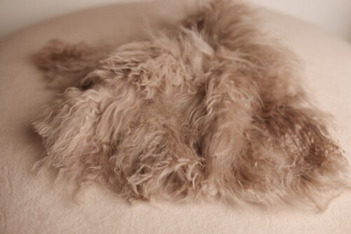 Square fur layer  BEIGE