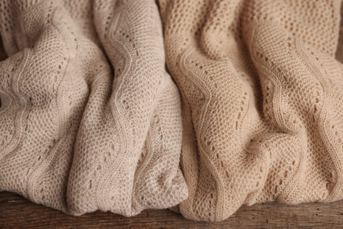 Cozy Cabin Layer | Backdrop 2.0 - Image 2
