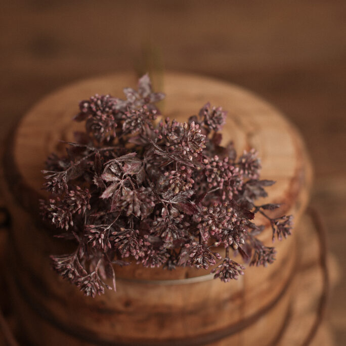 Mulberry Bloom Bundle