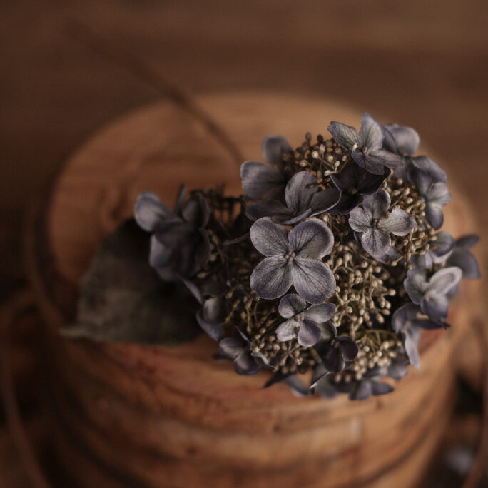 DUSTY NAVY Hydrangea