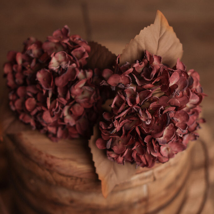 Autumn BURGUNDY Hydrangea
