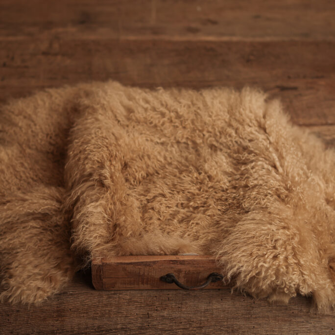 Large Beige Curly Fur