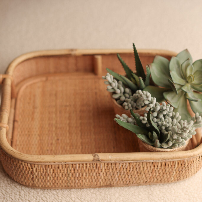 TRAY with greenery