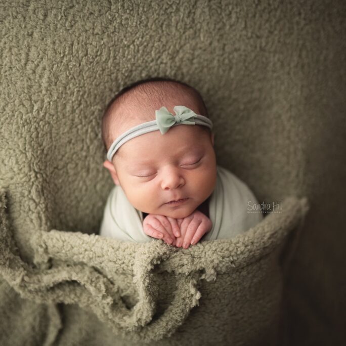 PLUSH pocket backdrop - SAGE