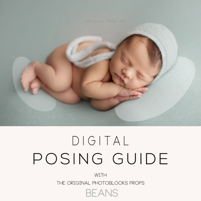 DIGITAL POSING GUIDE